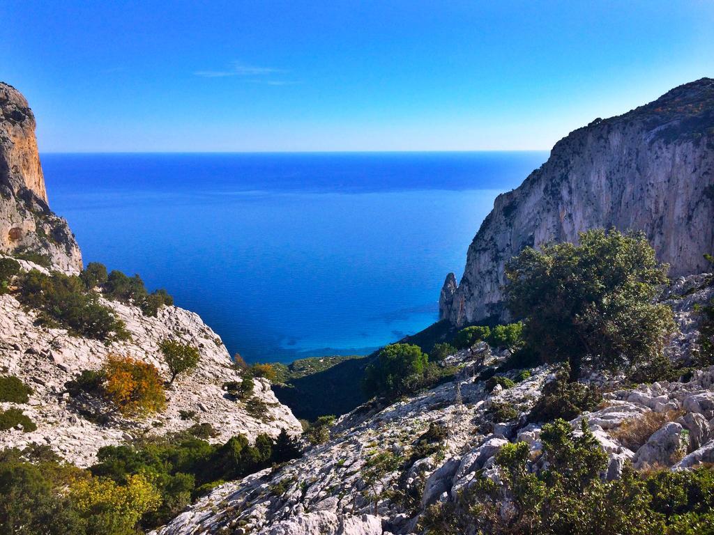Agriturismo Turudhis Tortolì Εξωτερικό φωτογραφία