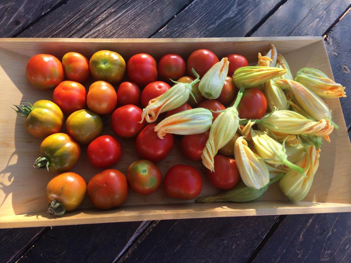 Agriturismo Turudhis Tortolì Εξωτερικό φωτογραφία